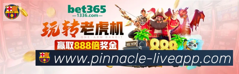 互动解说服务